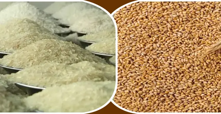 যুক্তরাষ্ট্র থেকে গম ও ভারত থেকে চাল আনছে সরকার, ব্যয় ১০৪৪ কোটি