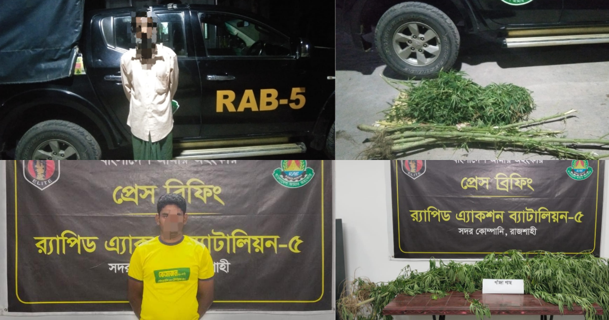 রাজশাহীতে র‍্যাব-৫ এর পৃথক অভিযানে ১০টি গাঁজা গাছসহ দুই মাদক কারবারি গ্রেফতার