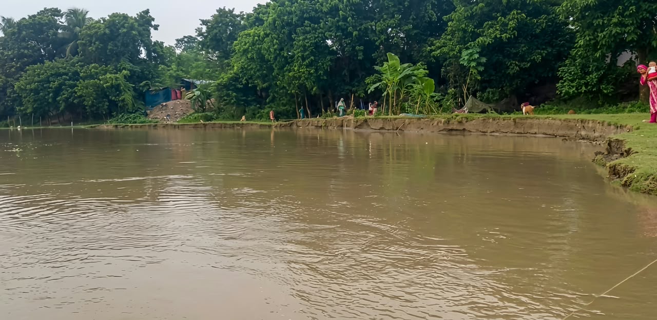 পদ্মার ভাঙনে আতঙ্কে দিন পার করছে রাজশাহীর গোদাগাড়ীর শতাধিক পরিবার